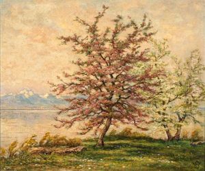 Apfelblute Am Bodensee Mit Blick Auf Das Santis-massiv