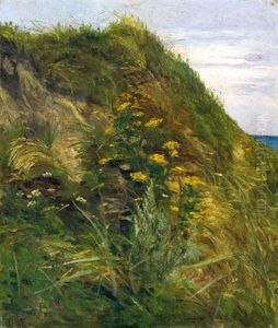 Hohe Dune Auf Fischland by Heinrich Schlotermann