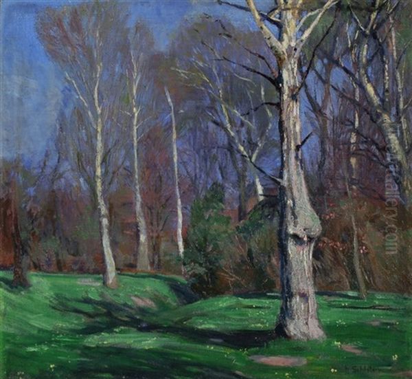 Ahrenshoop - Grenzgraben - view 1