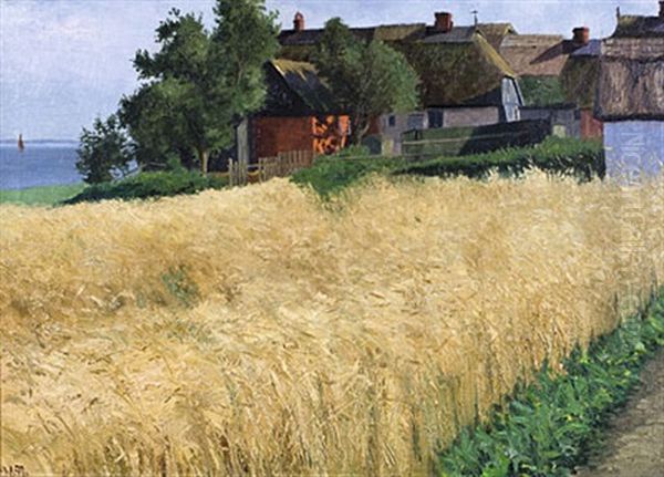 Wogendes Korn. Sommer In Althagen - view 1