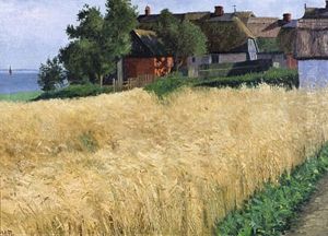 Wogendes Korn. Sommer In Althagen