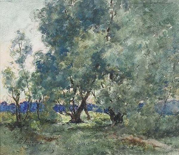 Hohe Baume In Wiesenlandschaft. - view 1