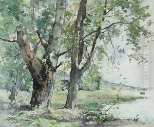 Sonnige Uferpartie Mit Baumen Am Neuenburgersee. by Paul Bouvier