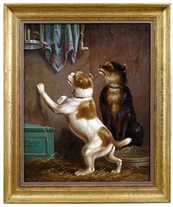 Zwei Hunde Beobachten Neugierig Eine Maus by Paul Schmalzried