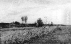 Weite Wiesenlandschaft by Friedrich Albert Schmidt