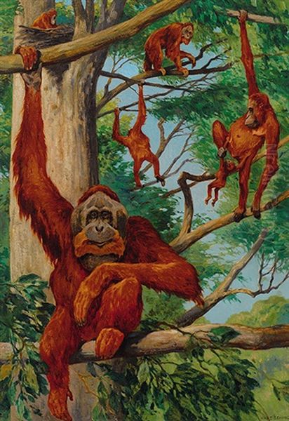 Orang-utans Auf Einem Baum - view 1