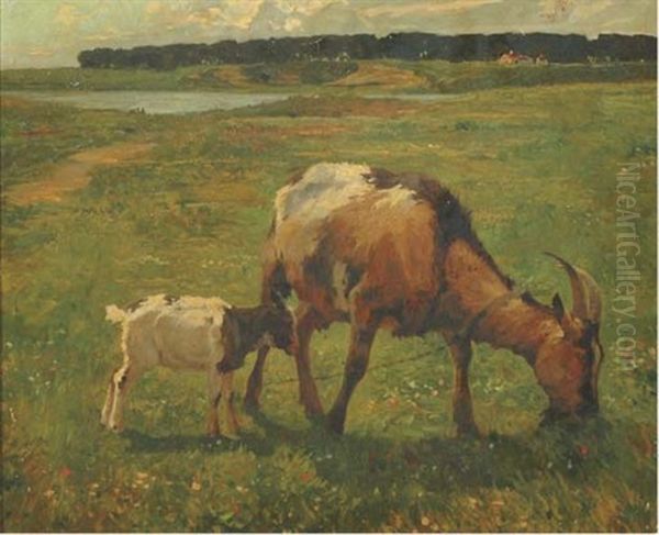 Goats In A Flowering Sunlit Meadow - view 1