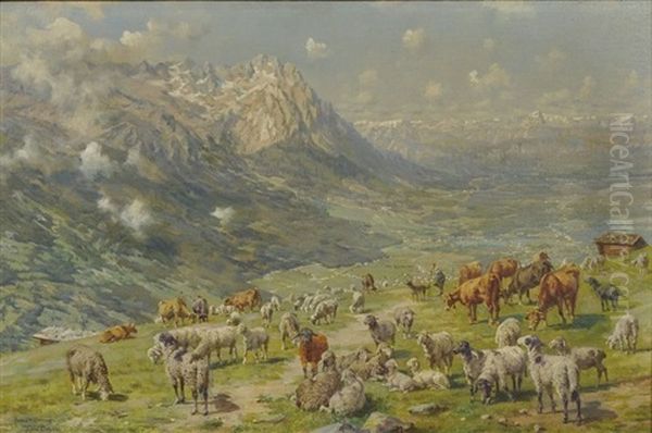 Sommerliche Alm Mit Schafen Und Rindern - Ausblick In's Tal - view 1