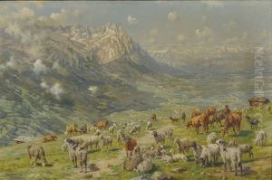 Sommerliche Alm Mit Schafen Und Rindern - Ausblick In's Tal by Hans W. Schmidt