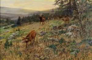 Waldlichtung Mit Asenden Hirschen by Hans W. Schmidt