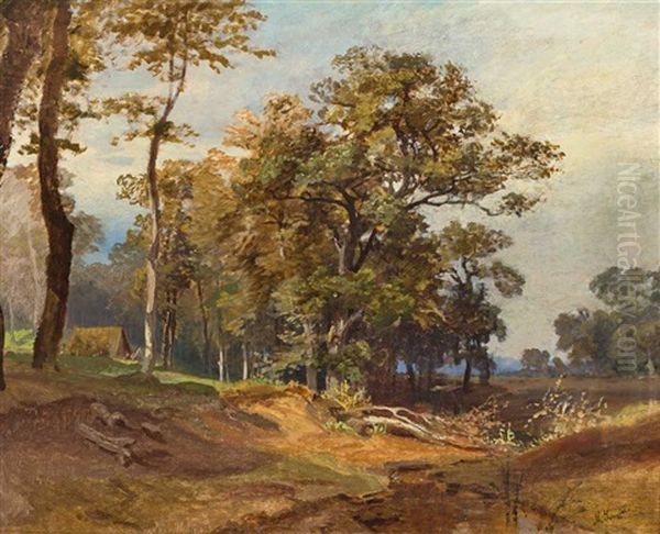 Sommerliche Landschaft Mit Lichtem Feldgeholz, Tumpel Und Alten Eichen - view 1