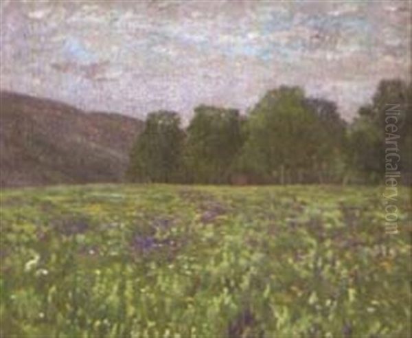 Landschaft Mit Bluhender Wiese - view 1