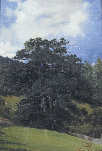 Wiesenhang Mit Steineiche - view 1