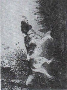 Jagdhundportrat