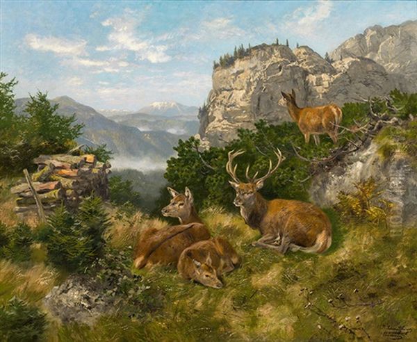 Ruhende Hirsche - view 1