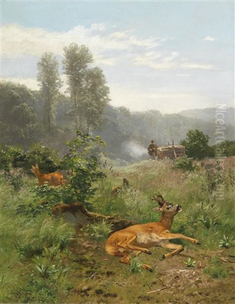 Red Deer - view 1