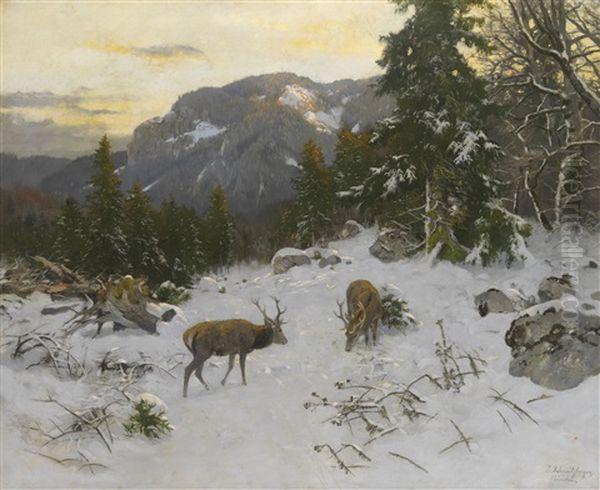 Hirsche Im Winterlichen Gebirge - view 1
