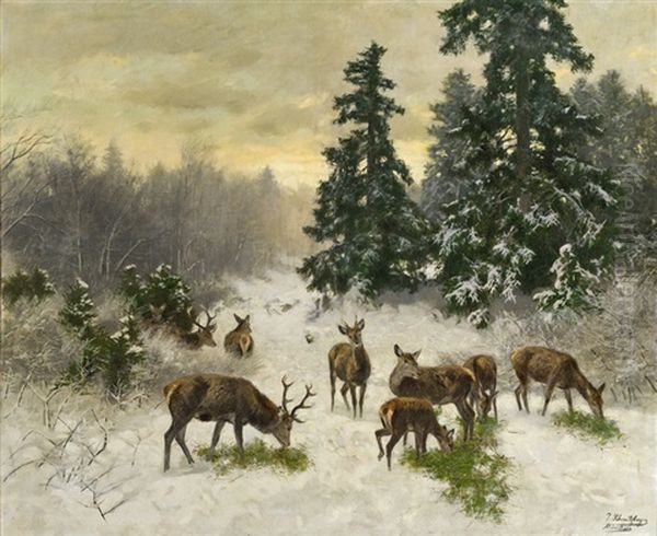 Deer In The Forest In Winter - view 1
