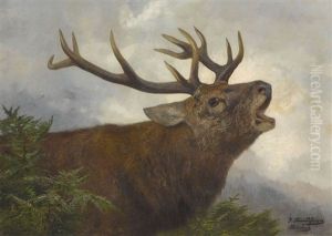 Rohrender Hirsch by Josef Schmitzberger