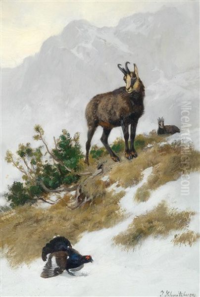 Gemsen Im Gebirge - view 1