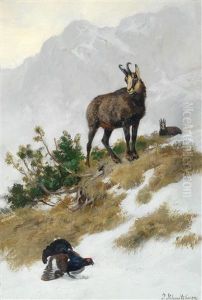 Gemsen Im Gebirge by Josef Schmitzberger