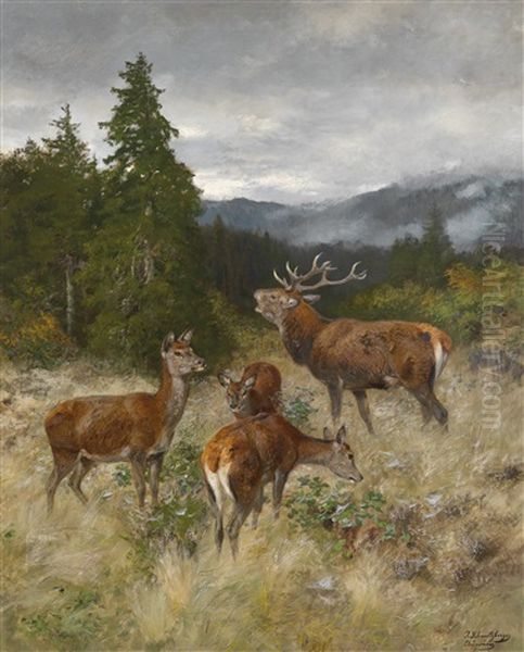 Rotwildrudel - view 1