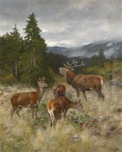Rotwildrudel