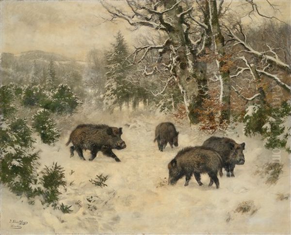 Wild Boar By The Woodland"s Edge - view 1