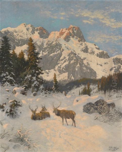 Rastendes Rotwild Vor Winter Alpenkulisse - view 1