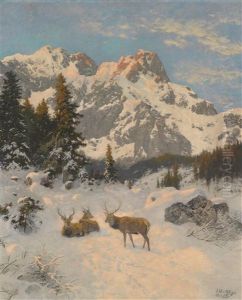Rastendes Rotwild Vor Winter Alpenkulisse