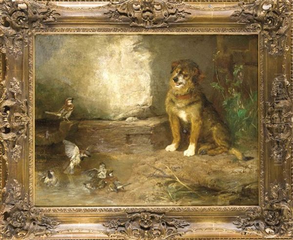 Hund Beobachtet Spatzen Beim Baden - view 1