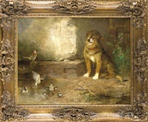 Hund Beobachtet Spatzen Beim Baden