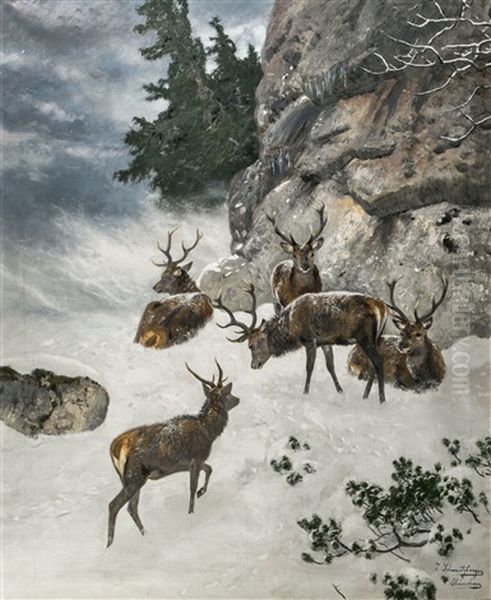 Hirsche In Winterlandschaft - view 1