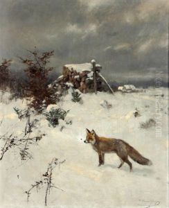 Fuchs In Verschneiter Landschaft Fuchs In Verschneiter Landschaft