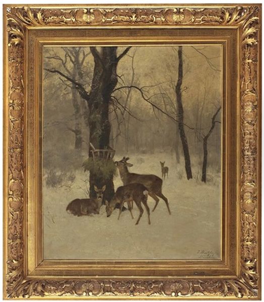 Rotwild Im Winterwald Bei Der Futterkrippe - view 1