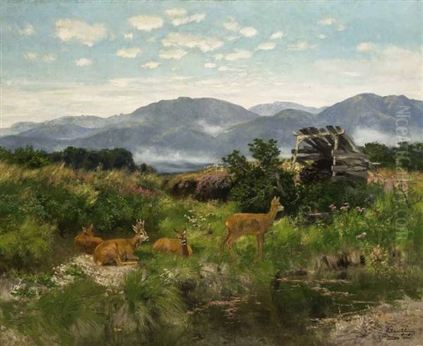 Rehwild Auf Einer Lichtung - view 1