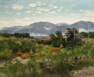 Rehwild Auf Einer Lichtung by Josef Schmitzberger