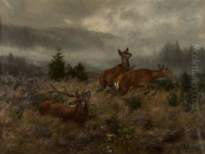 Hunter's Sport by Josef Schmitzberger