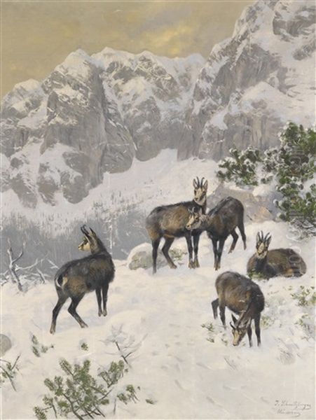 Gamse Im Winter - view 1