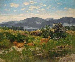 Rehe In Bluhender Moorlandschaft by Josef Schmitzberger