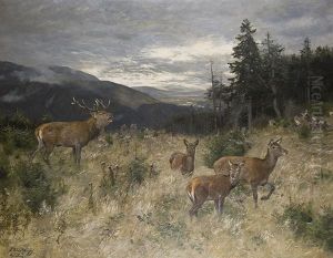 Rotwild Auf Der Anhohe by Josef Schmitzberger