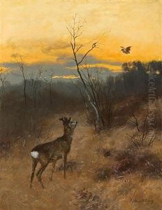 Roe-deer by Josef Schmitzberger
