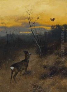 Reh Auf Der Waldlichtung by Josef Schmitzberger