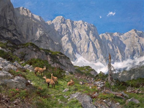 Gemsen Im Hochgebirge - view 1