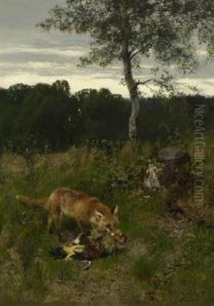 Fuchs Mit Beute Auf Der Waldlichtung - view 1
