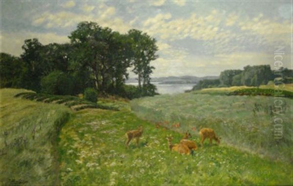 Rehe Auf Bluhender Sommerwiese, Im Hintergrund Blick Auf Weite Seenlandschaft - view 1