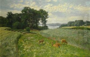 Rehe Auf Bluhender Sommerwiese, Im Hintergrund Blick Auf Weite Seenlandschaft Rehe Auf Bluhender Sommerwiese, Im Hintergrund Blick Auf Weite Seenlandschaft