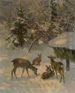 Rehe An Der Futterkrippe Im Winterwald