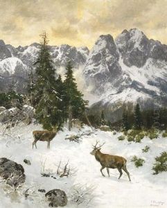 Zwei Kapitale Hirsche An Einem Wintermorgen Im Gebirge