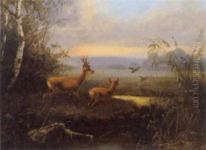 Rotwild In Auslandschaft by Josef Schmitzberger